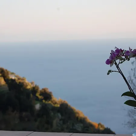 Tenuta Mamma Carmela Amalfi
